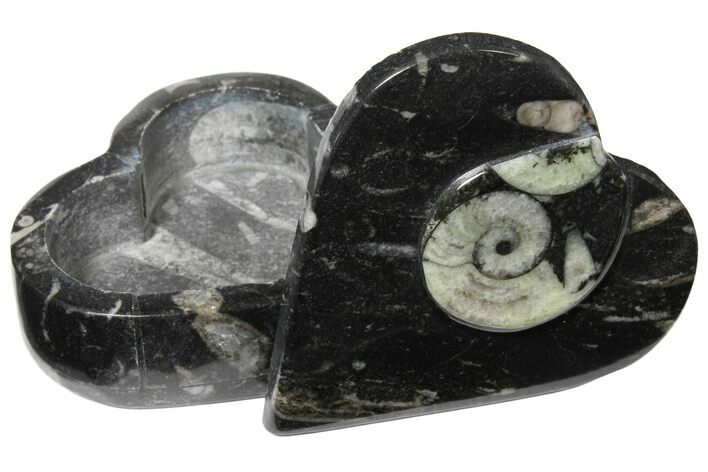 Fossil Goniatite Box (Heart) - Stoneware #123544